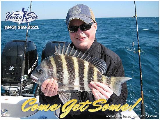 Charleston Fun Fishing Private Charters